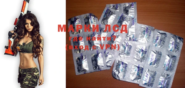 твердый Магас