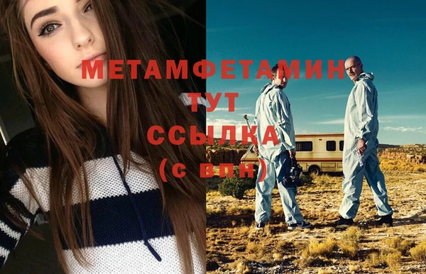 твердый Магас