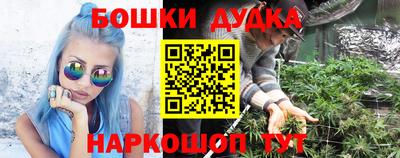 apvp Кингисепп