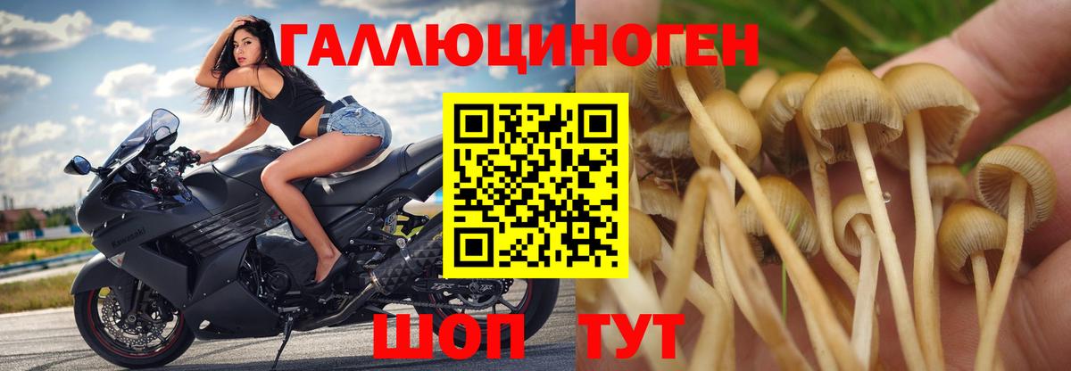 Галлюциногенные грибы прущие грибы  Вход с VPN  Первоуральск 